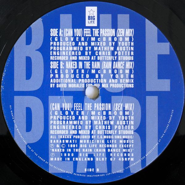 Blue Pearl - (Can You) Feel The Passion - Used Vinyl Record 12" image 4
