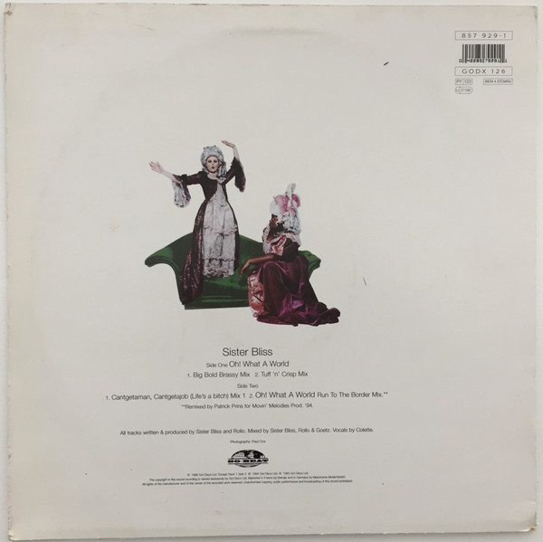 Sister Bliss - Oh! What A World - Used Vinyl Record 12" image 2