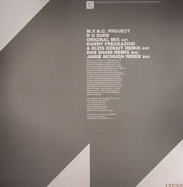 MYNC Project - R U Sure - Vinyl Record 12" image 2