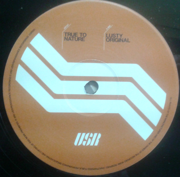 True To Nature - Lusty - Used Vinyl Record 12" image 4