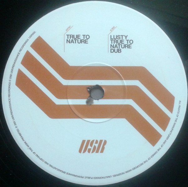 True To Nature - Lusty - Used Vinyl Record 12" image 5