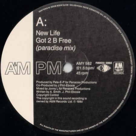 New Life - Got 2 B Free - Used Vinyl Record 12" image 3