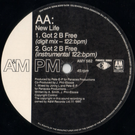 New Life - Got 2 B Free - Used Vinyl Record 12" image 4