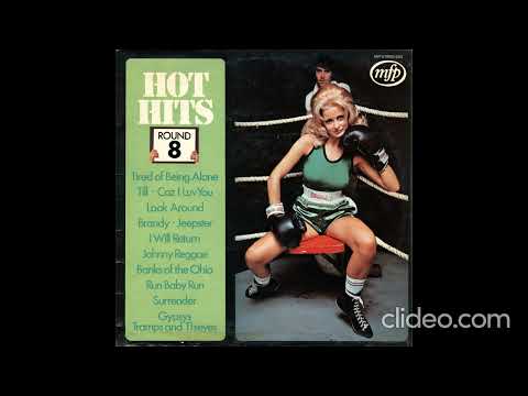 Unknown Artist - Hot Hits 8 - Used Vinyl Record image 1