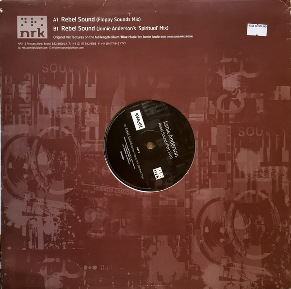 Jamie Anderson - Rebel Sound (Part Two) (Floppy Sounds &  Mixes) - Vi image 2
