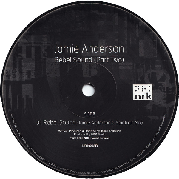 Jamie Anderson - Rebel Sound (Part Two) (Floppy Sounds &  Mixes) - Vi image 4