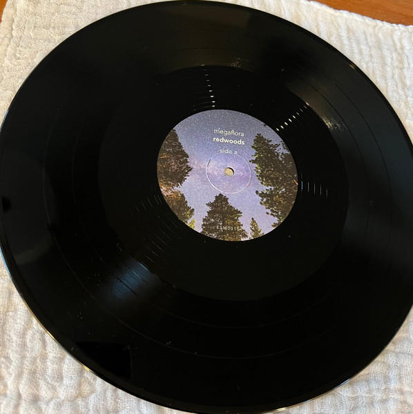 Megaflora - redwoods - Used Vinyl Record image 3