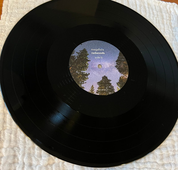 Megaflora - redwoods - Used Vinyl Record image 4