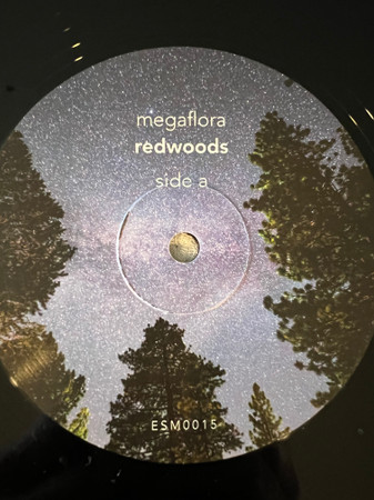 Megaflora - redwoods - Used Vinyl Record image 5