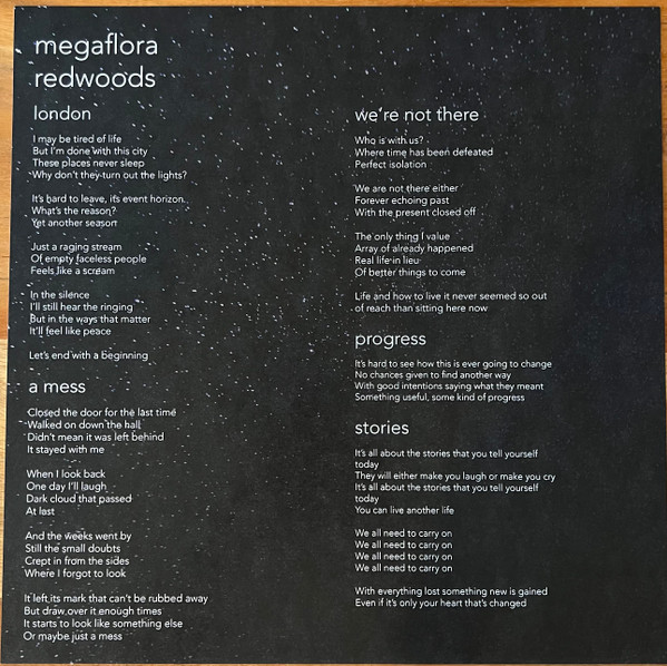 Megaflora - redwoods - Used Vinyl Record image 6