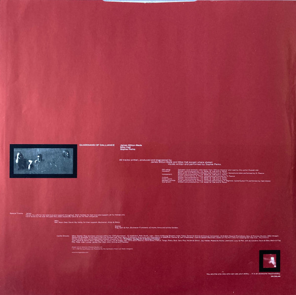 Guardians Of Dallian - Diffusion Rooms - Vinyl Record 12" image 14