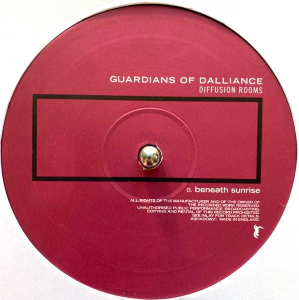 Guardians Of Dallian - Diffusion Rooms - Vinyl Record 12" image 4