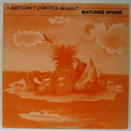 Nature's Divine - I Just Can't Control Myself - Used Vinyl Record 12" image 5