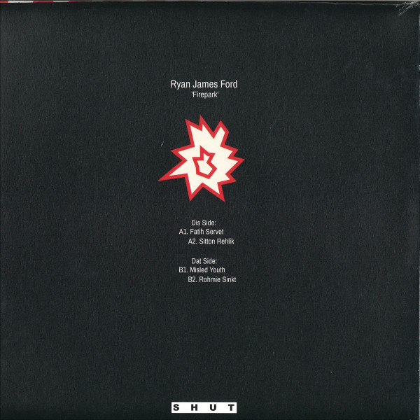 Ryan James Ford - Firepark - Vinyl Record 12" image 2