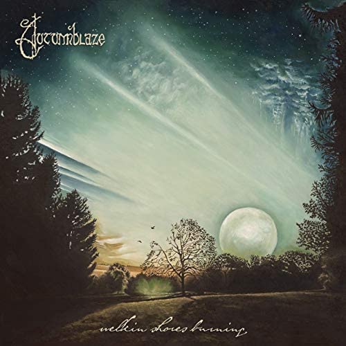 WELKIN SHORES BURNING - Vinyl Record image 1