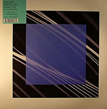 Skream - Where You Should Be - Vinyl Record 12" image 1