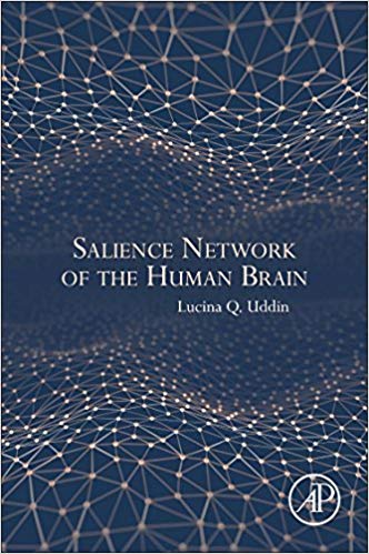 Salience Network of the Human Brain