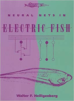 Neural Nets in Electric Fish