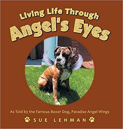 Living Life Through Angel's Eyes