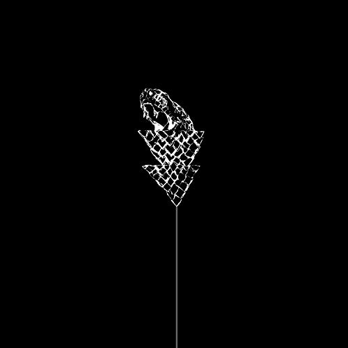 WETWARE - FLAIL - Vinyl Record image 1