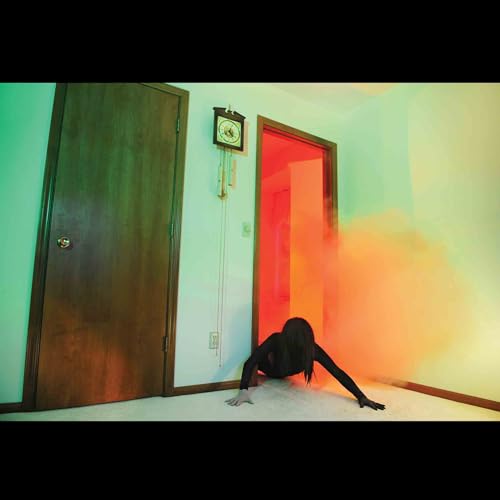 ADULT. - Becoming Undone - Vinyl Record image 1