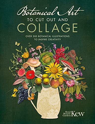 Botanical Art to Cut Out and Collage : Over 500 botanical illustrations to inspire creativity