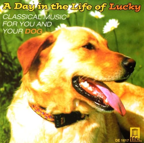 Day in the Life of Lucky A (Seattle So) - CD image 1