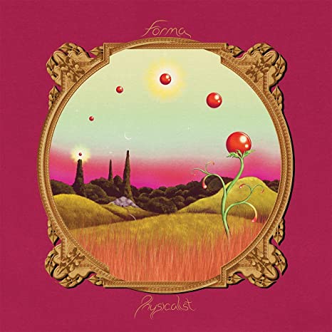 FORMA - PHYSICALIST - Vinyl Record image 1