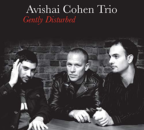 Avishai Cohen Trio - Gently Disturbed - CD image 1