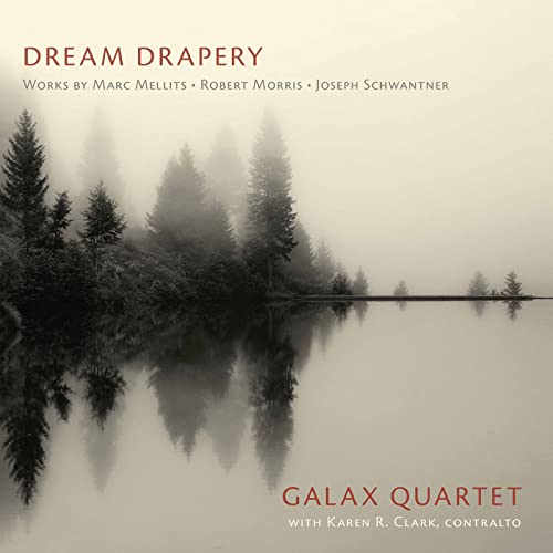 GALAX QUARTET/KAREN - DREAM DRAPERY - CD image 1
