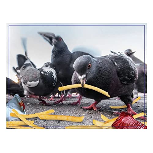 Doing Things Birds Prank Puzzle 300pcs - Non-book item image 3