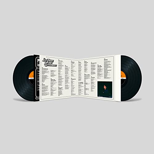PAOLO NUTINI - Last Night In The Bittersweet - Vinyl Record image 3