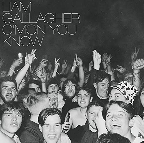 GALLAGHER - C'MON YOU KNOW - Vinyl Record VINYL image 1