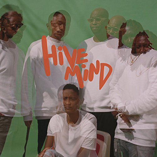 Internet - Hive Mind - Vinyl Record image 1