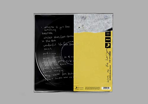Bring Me The Horizon - Amo - Vinyl Record image 1