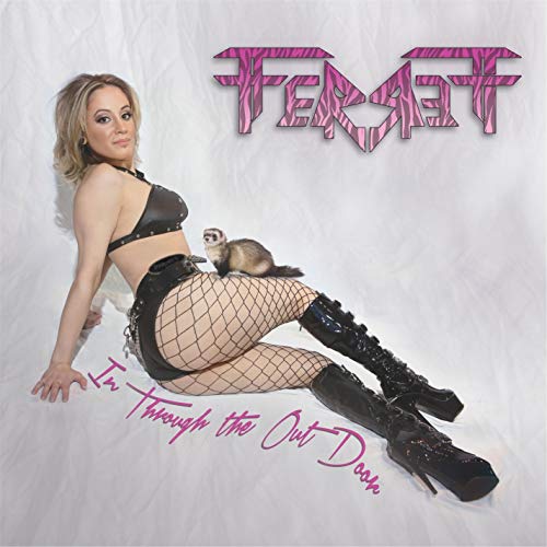 Ferrett - In Through The Out Door - Vinyl Record image 1