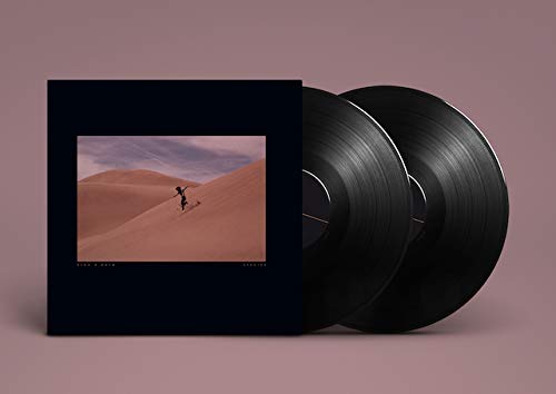 Bing And Ruth - Species - Vinyl Record image 3