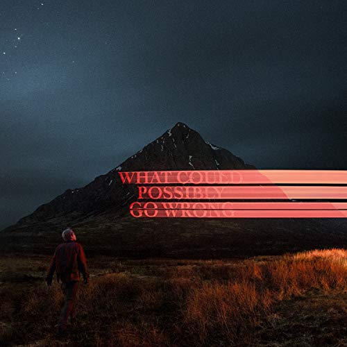 Dominic Fike - What Could Possibly Go Wrong - Vinyl Record Vinyl Longpl image 1