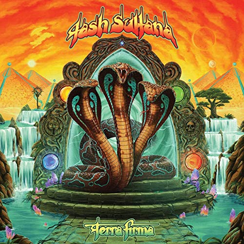 Tash Sultana - Terra Firma - Vinyl Record Vinyl Longplay 33 1 image 1