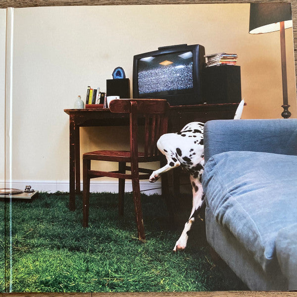 REX ORANGE COUNTY - WHO CARES - Vinyl Record Vinyl Longplay 33 1/3 image 4