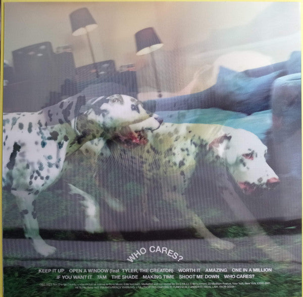 Rex Orange County - WHO CARES? - Vinyl Record Vinyl Longplay 33 1 image 2