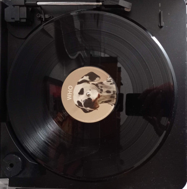 Rex Orange County - WHO CARES? - Vinyl Record Vinyl Longplay 33 1 image 3