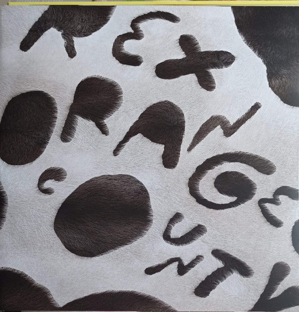 Rex Orange County - WHO CARES? - Vinyl Record Vinyl Longplay 33 1 image 5