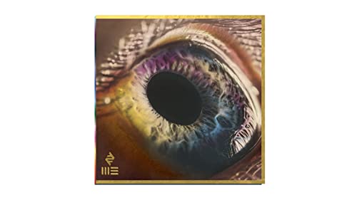 ARCADE FIRE - WE - Vinyl Record image 3