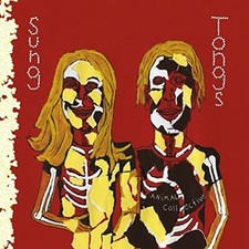 ANIMAL COLLECTIVE - SUNG TONGS - Vinyl Record 12" record image 1