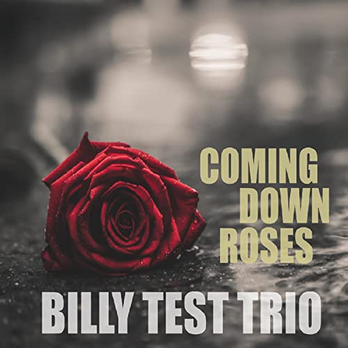 BILLY TEST TRIO - COMING DOWN ROSES - CD image 1