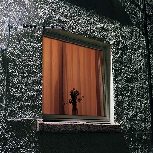 WYLDEST - MONTHLY FRIEND - Vinyl Record lp image 1