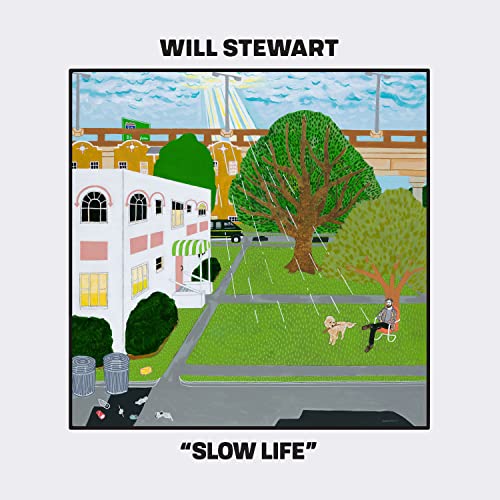 STEWART - SLOW LIFE - Vinyl Record image 1