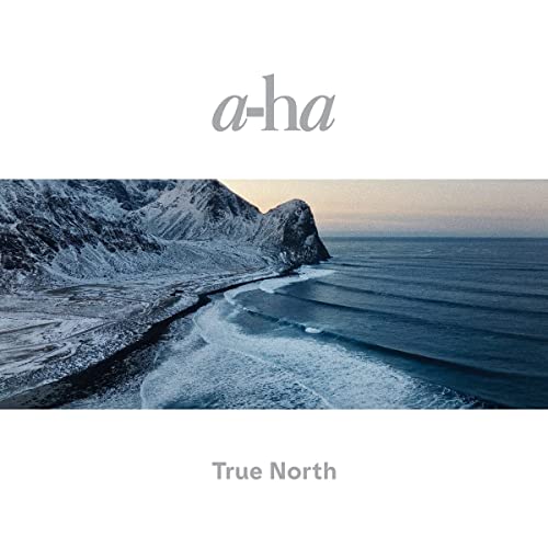 a-ha - True North - Vinyl Record Vinyl Longplay 33 1 image 1