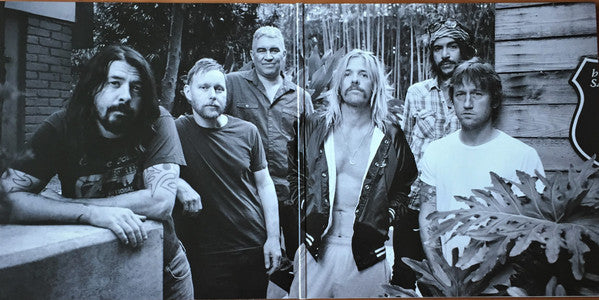 Foo Fighters - The Essential Foo Fighters 2LP - Vinyl Record 2LP image 2